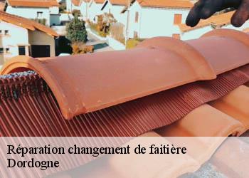 Réparation changement de faitière Dordogne 