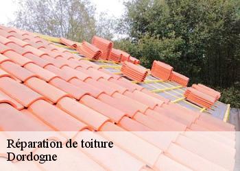 Réparation de toiture Dordogne 