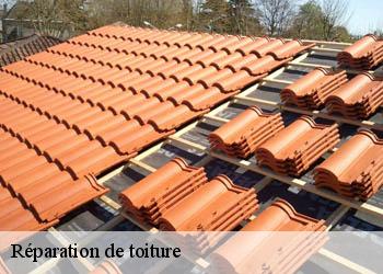 Réparation de toiture