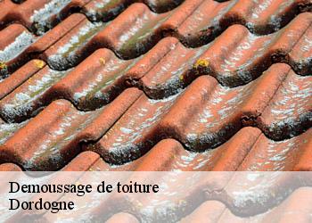 Demoussage de toiture Dordogne 