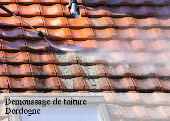 Demoussage de toiture Dordogne 