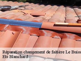 Réparation changement de faitière le-buisson-de-cadouin-24480 Ets Blanchard