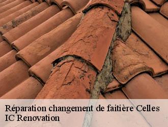 Réparation changement de faitière  celles-24600 Ets Blanchard 