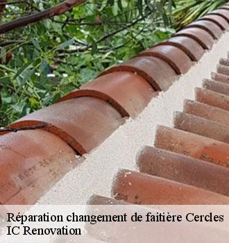 Réparation changement de faitière cercles-24320 IC Renovation