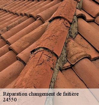 Réparation changement de faitière 24550