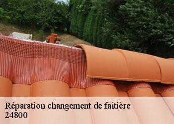 Réparation changement de faitière  24800