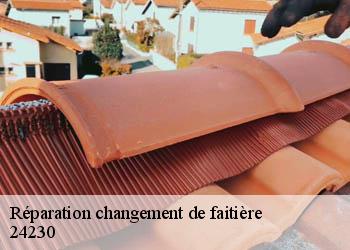 Réparation changement de faitière 24230