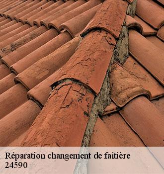 Réparation changement de faitière 24590