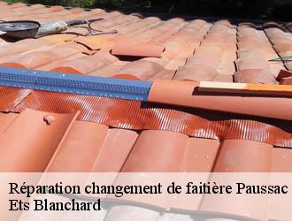 Réparation changement de faitière  paussac-et-saint-vivien-24310 Ets Blanchard 