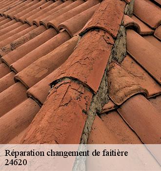 Réparation changement de faitière 24620