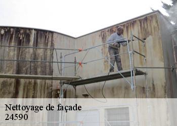 Nettoyage de façade  24590
