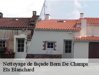 Nettoyage de façade born-de-champs-24440 Ets Blanchard