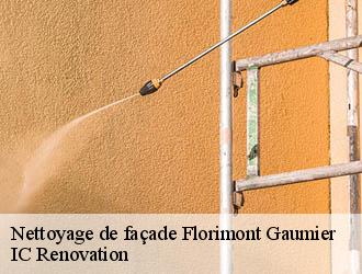 Nettoyage de façade  florimont-gaumier-24250 Ets Blanchard 