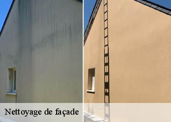 Nettoyage de façade