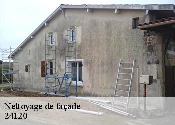 Nettoyage de façade 24120