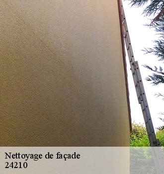 Nettoyage de façade  24210