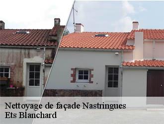 Nettoyage de façade nastringues-24230 Ets Blanchard