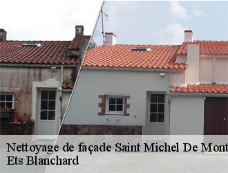 Nettoyage de façade  saint-michel-de-montaigne-24230 Ets Blanchard 