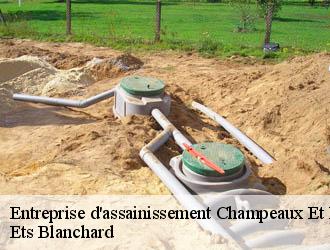 Entreprise d'assainissement  champeaux-et-la-chapelle-24340 Ets Blanchard 