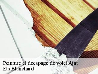 Peinture et décapage de volet  ajat-24210 Ets Blanchard 