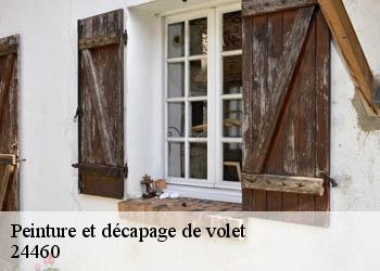 Peinture et décapage de volet 24460