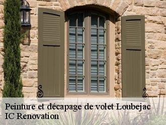 Peinture et décapage de volet  loubejac-24550 Ets Blanchard 