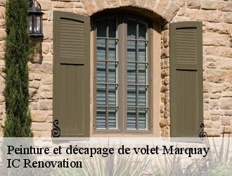Peinture et décapage de volet marquay-24620 IC Renovation