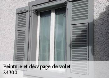 Peinture et décapage de volet 24300