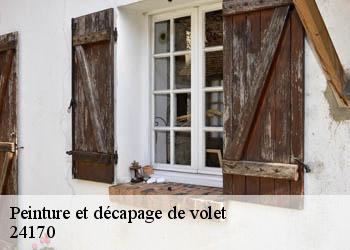 Peinture et décapage de volet 24170