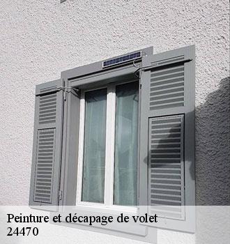 Peinture et décapage de volet 24470