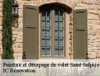 Peinture et décapage de volet saint-sulpice-d-excideuil-24800 IC Renovation