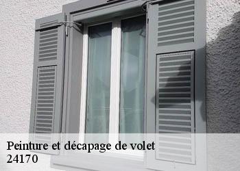Peinture et décapage de volet 24170