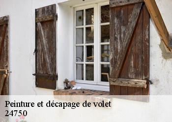 Peinture et décapage de volet 24750