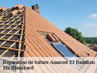 Réparation de toiture  annesse-et-beaulieu-24430 Ets Blanchard 