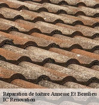 Réparation de toiture  annesse-et-beaulieu-24430 IC Renovation 