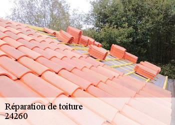 Réparation de toiture  24260