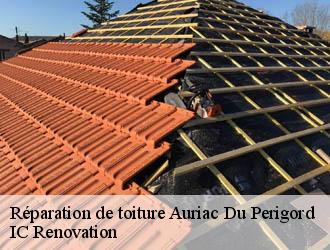 Réparation de toiture auriac-du-perigord-24290 IC Renovation
