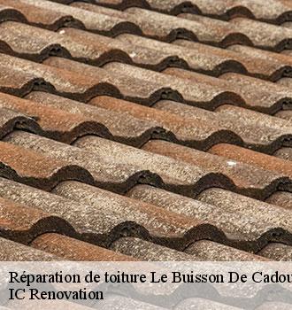 Réparation de toiture le-buisson-de-cadouin-24480 IC Renovation