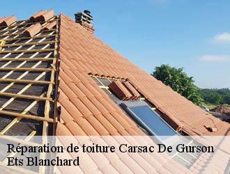 Réparation de toiture  carsac-de-gurson-24610 Ets Blanchard 