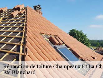 Réparation de toiture champeaux-et-la-chapelle-24340 Ets Blanchard