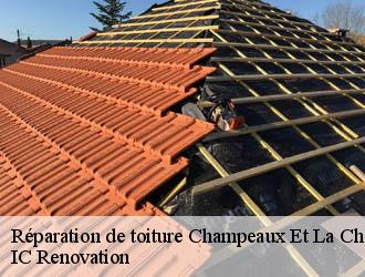 Réparation de toiture champeaux-et-la-chapelle-24340 IC Renovation