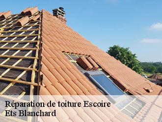 Réparation de toiture  escoire-24420 Ets Blanchard 