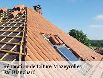 Réparation de toiture  mazeyrolles-24550 Ets Blanchard 