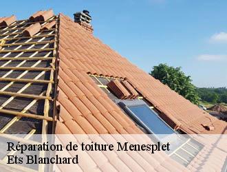 Réparation de toiture  menesplet-24700 Ets Blanchard 