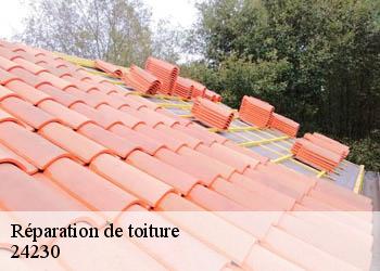 Réparation de toiture 24230