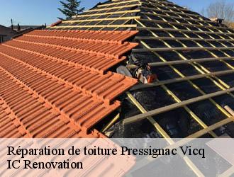 Réparation de toiture pressignac-vicq-24150 IC Renovation