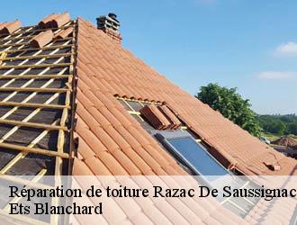 Réparation de toiture  razac-de-saussignac-24240 Ets Blanchard 