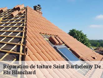 Réparation de toiture  saint-barthelemy-de-bussiere-24360 Ets Blanchard 