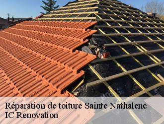 Réparation de toiture sainte-nathalene-24200 IC Renovation