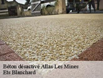 Béton désactivé  allas-les-mines-24220 Ets Blanchard 